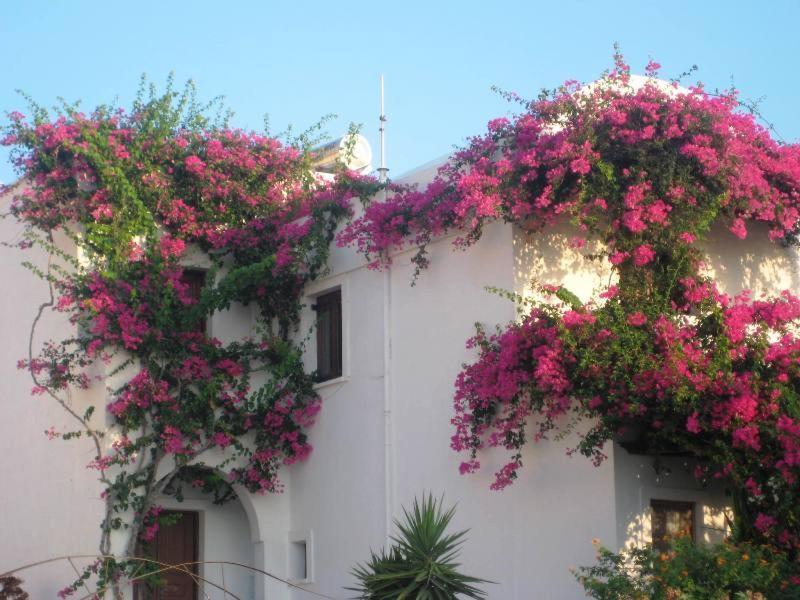 Vocamvilia Apartments Apartment Kamari (Santorini)