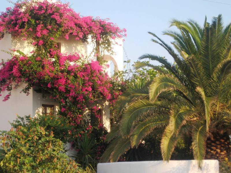 Vocamvilia Apartments Kamari (Santorini)