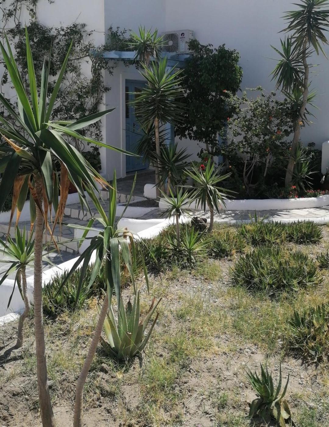 Vocamvilia Apartments *