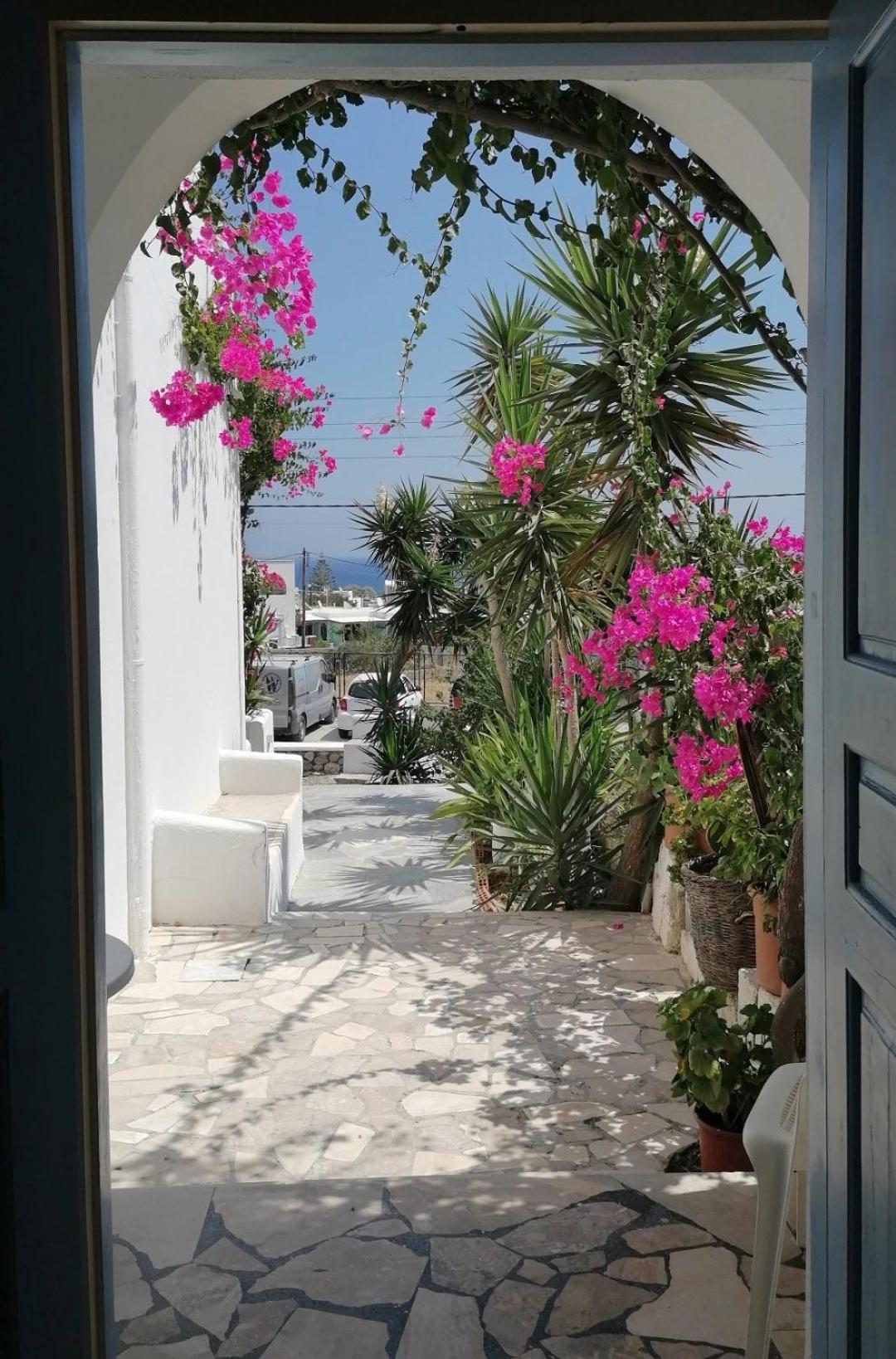 Apartmán Vocamvilia