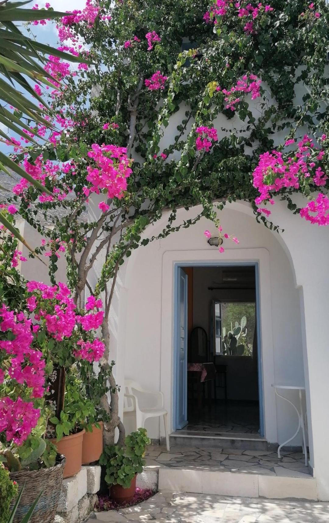 Apartment Vocamvilia Apartments Kamari (Santorini)