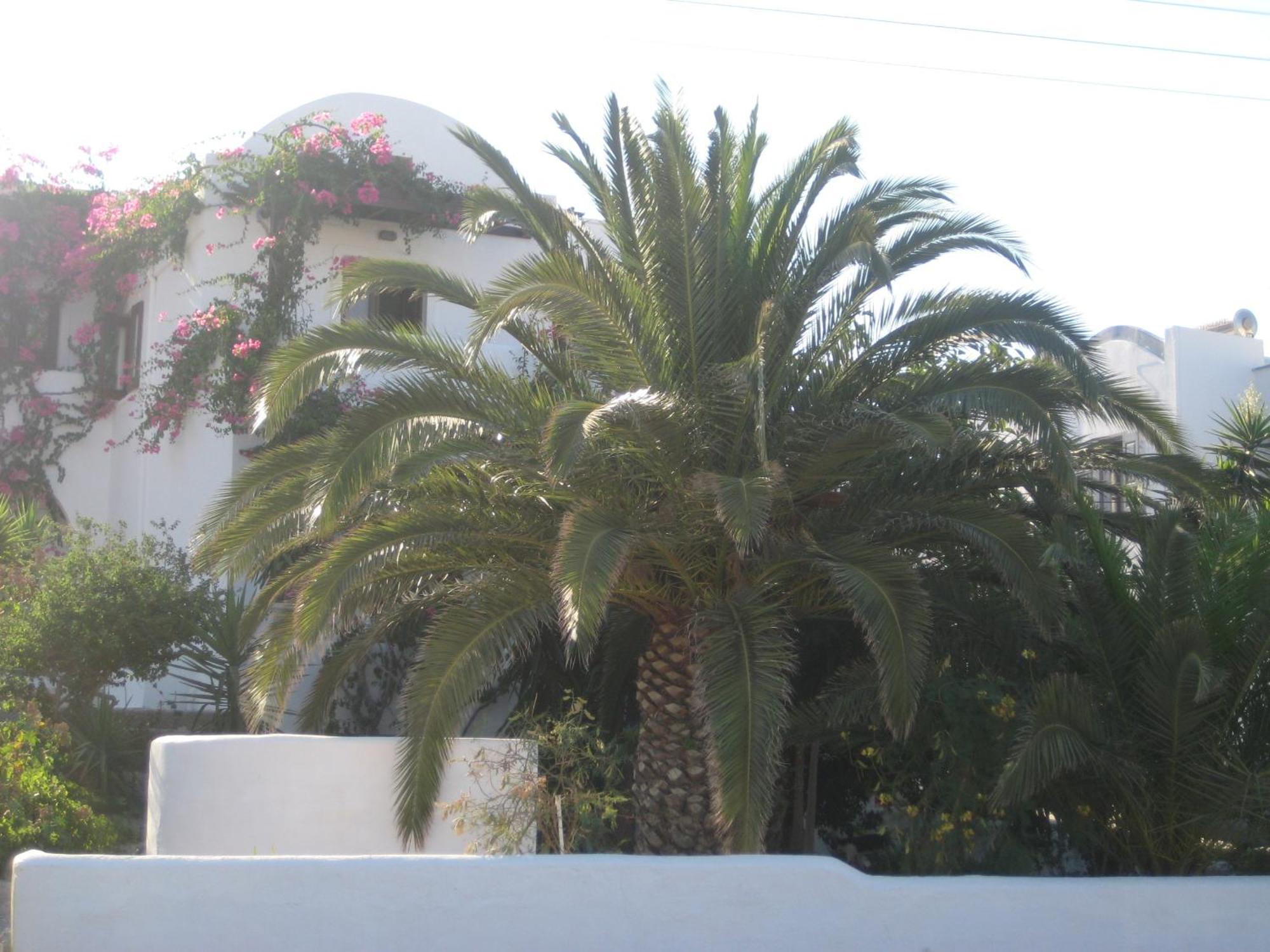 Vocamvilia Apartments Kamari (Santorini)