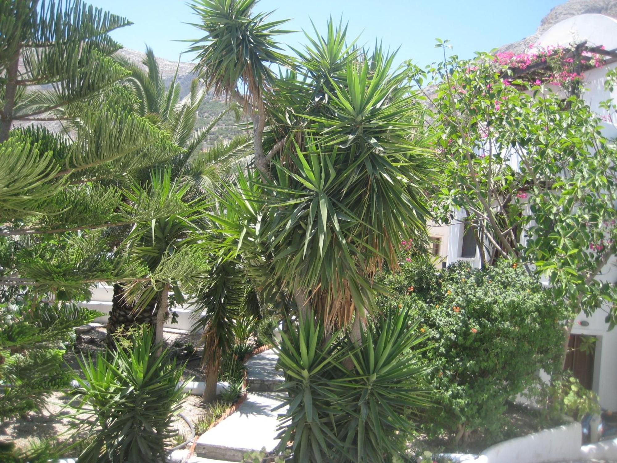 Vocamvilia Apartments Apartment Kamari (Santorini)