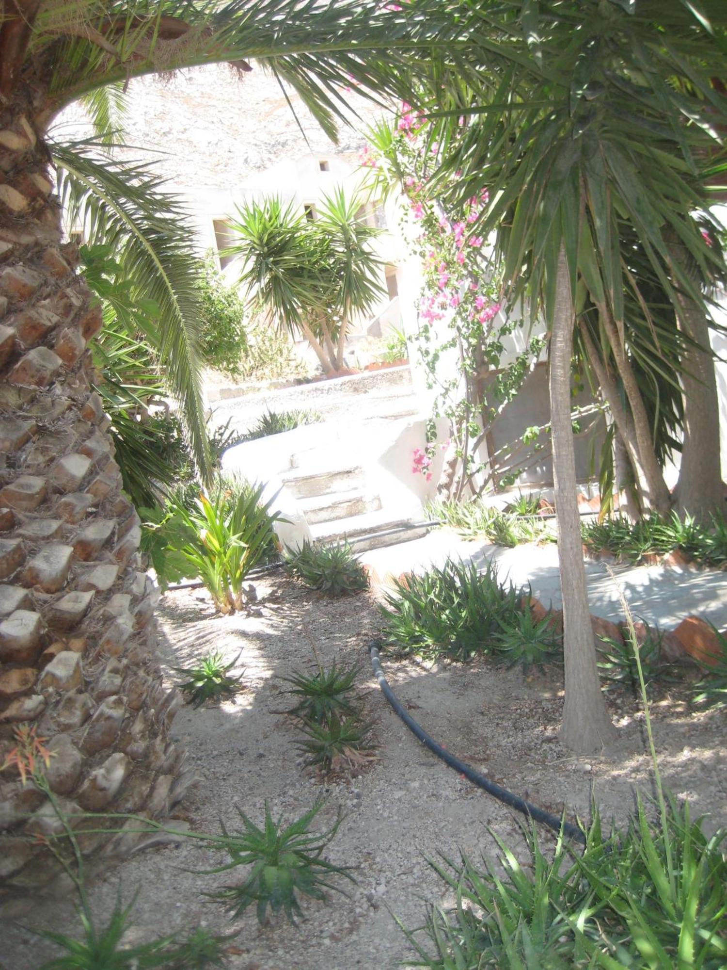 Vocamvilia Apartments Kamari (Santorini)